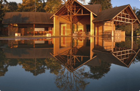 Prakriti Shakti surrounding