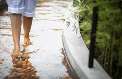 Prakriti Shakti wellness