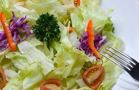 Shreayas Yoga Retreat dining 4