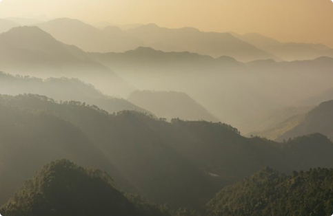 Six Senses Vana treatment nature